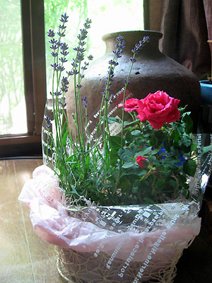 e0118904_21474791.jpg