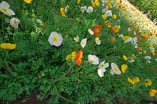 c0156908_10412427.jpg