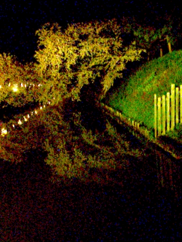 a0187509_071771.jpg