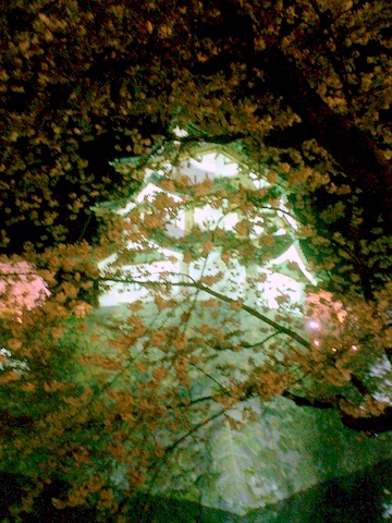a0187509_08811.jpg