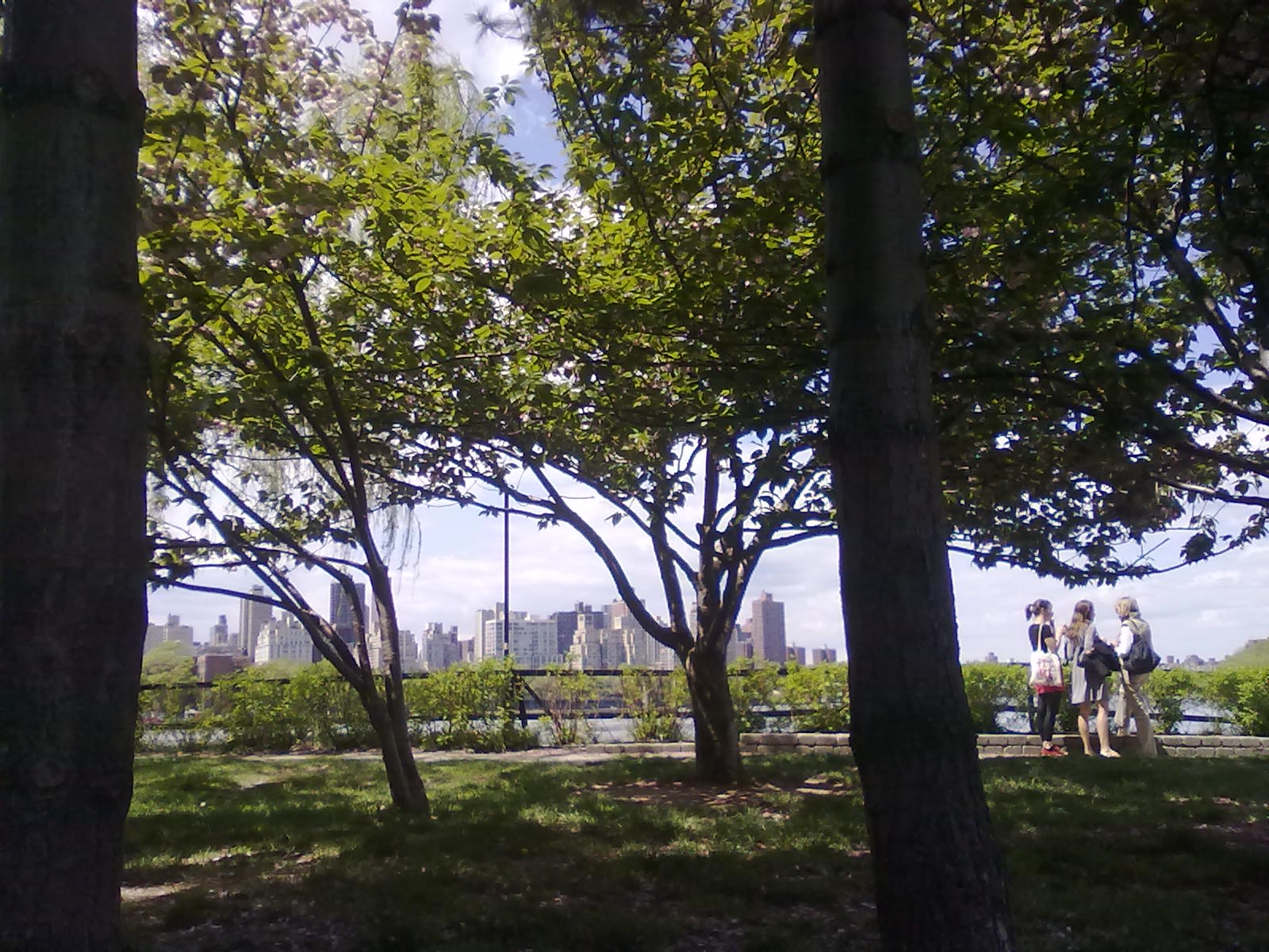 b0130809_653795.jpg