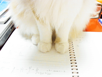 b0189509_0203384.gif
