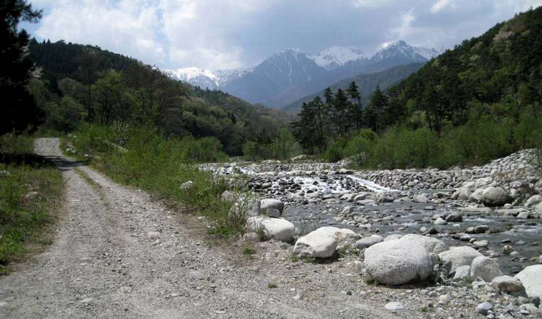 e0003910_17263562.jpg