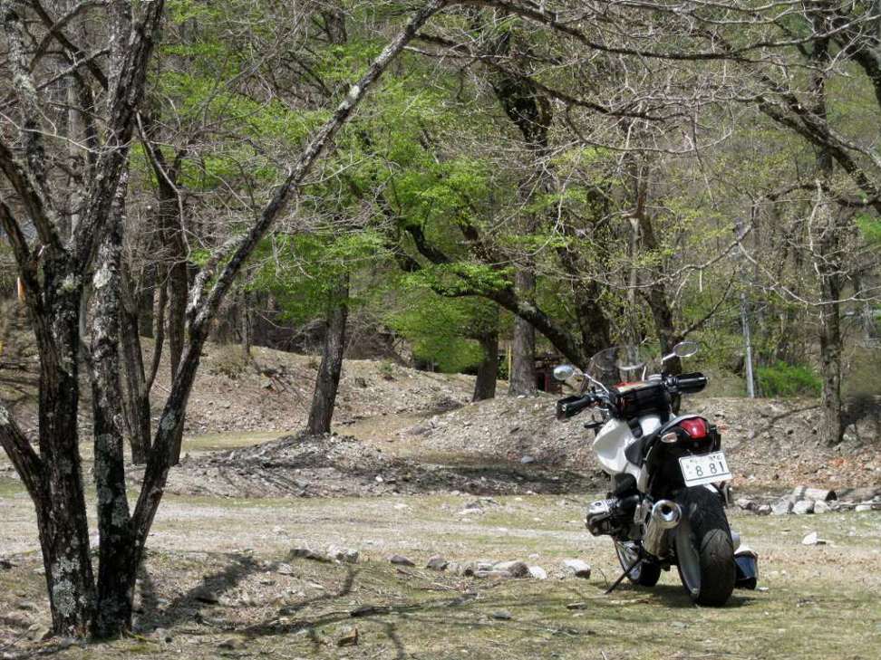 e0003910_957435.jpg