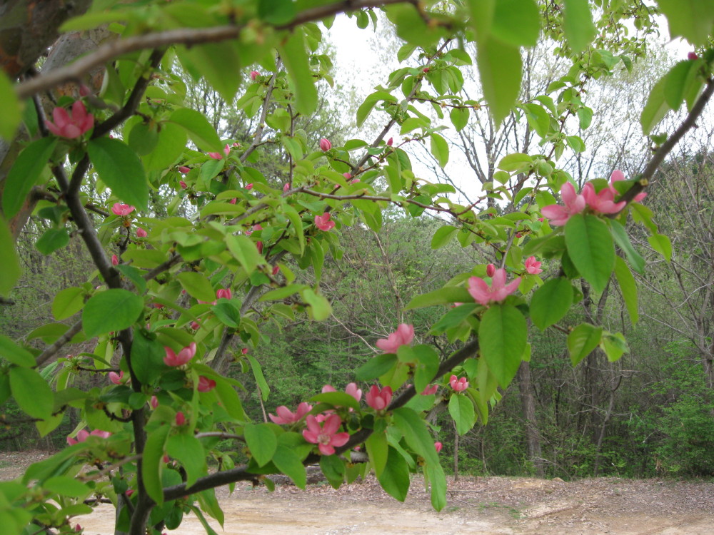 c0218213_1775538.jpg