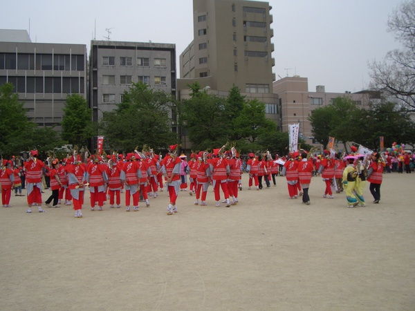 d0198313_928336.jpg