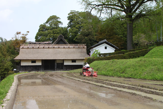 越畑の山里_e0048413_20572731.jpg