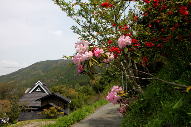 越畑の山里_e0048413_20573853.jpg