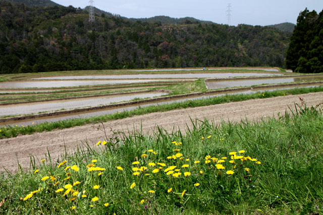 越畑の山里_e0048413_20581028.jpg