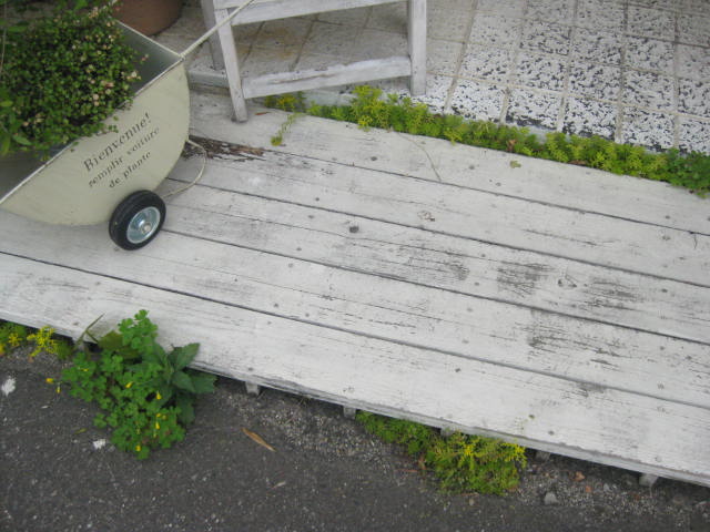 c0085916_133122.jpg