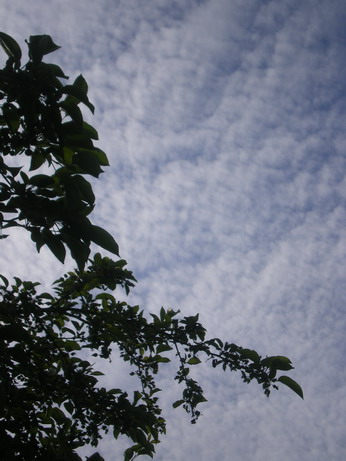 c0124619_2258146.jpg
