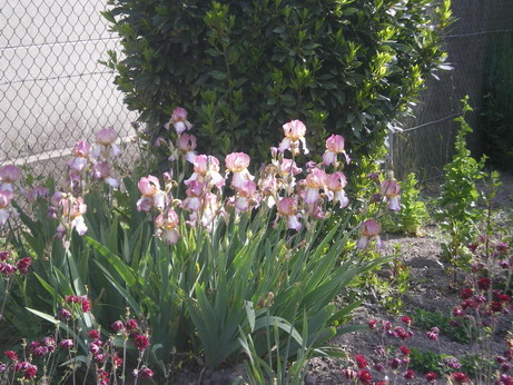 c0124619_22591152.jpg