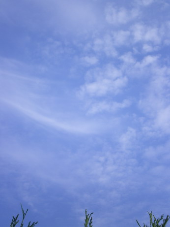 c0124619_2311021.jpg