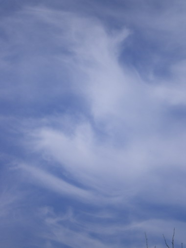 c0124619_2313256.jpg