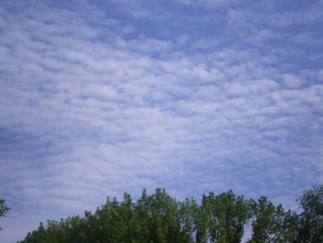 c0124619_2333093.jpg