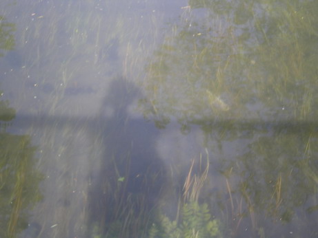 c0124619_234136.jpg