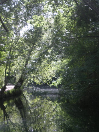 c0124619_23452260.jpg