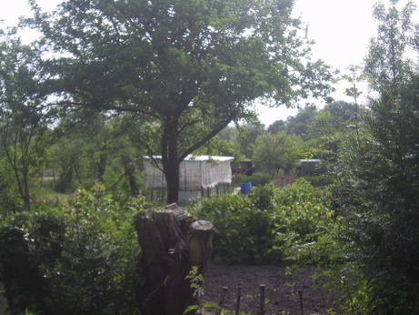 c0124619_23463367.jpg