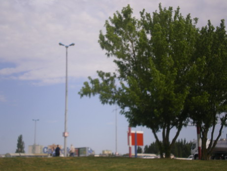c0124619_23493457.jpg