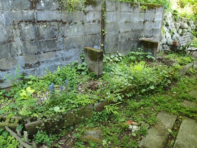 b0177323_14501947.jpg