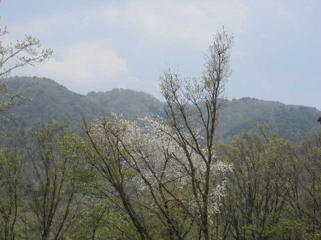 c0141223_19423340.jpg