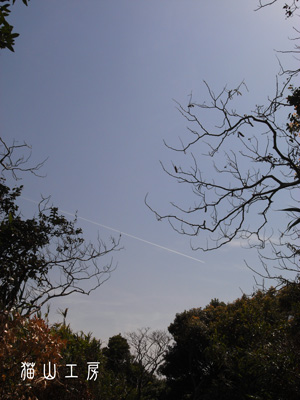 c0162823_0573975.jpg
