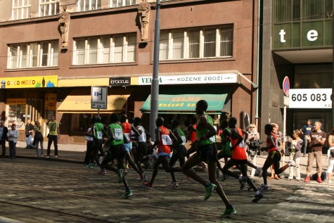 d0049723_791721.jpg