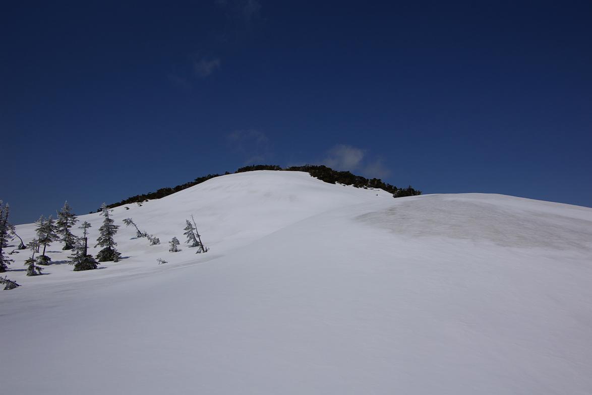 b0062024_17102954.jpg