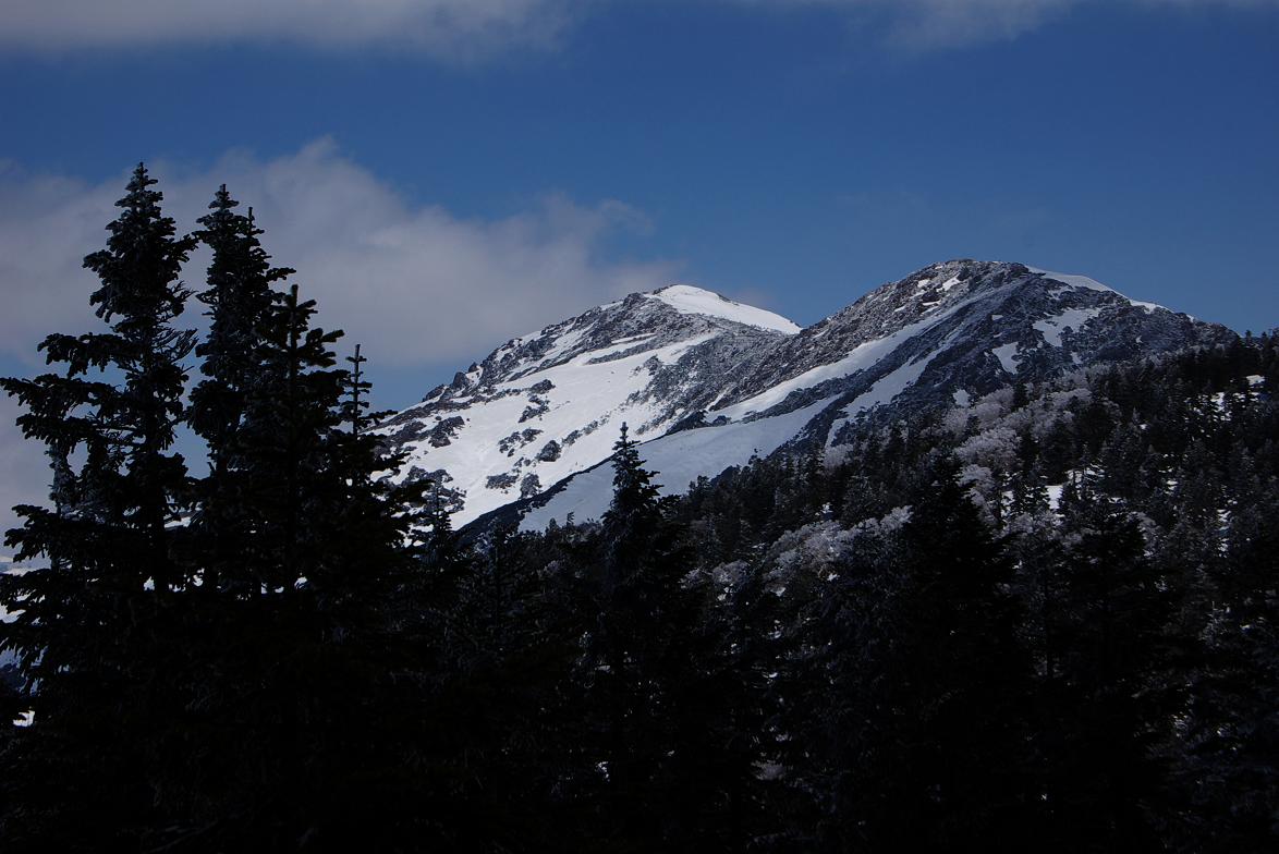 b0062024_1785374.jpg