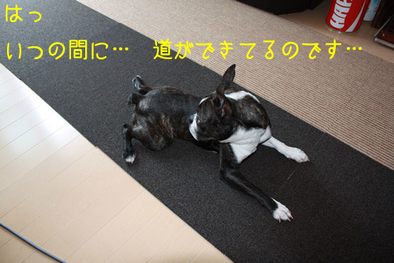 a0190132_22461756.jpg