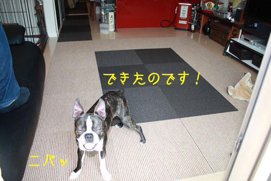 a0190132_22464178.jpg