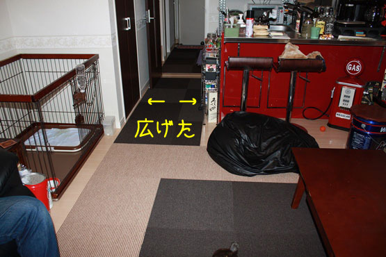 a0190132_22474228.jpg