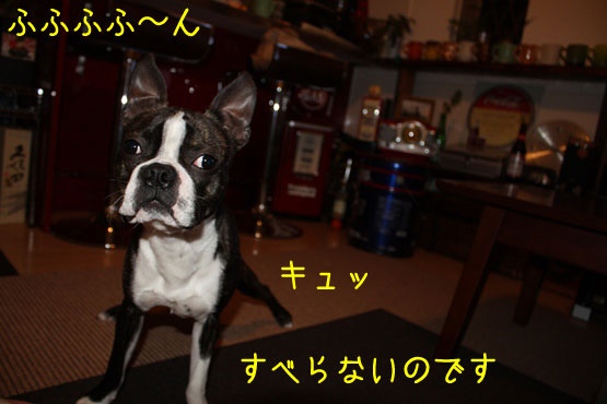 a0190132_2248109.jpg