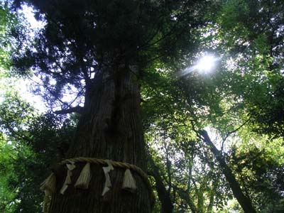 b0019140_13414828.jpg
