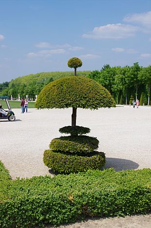 b0212342_156079.jpg