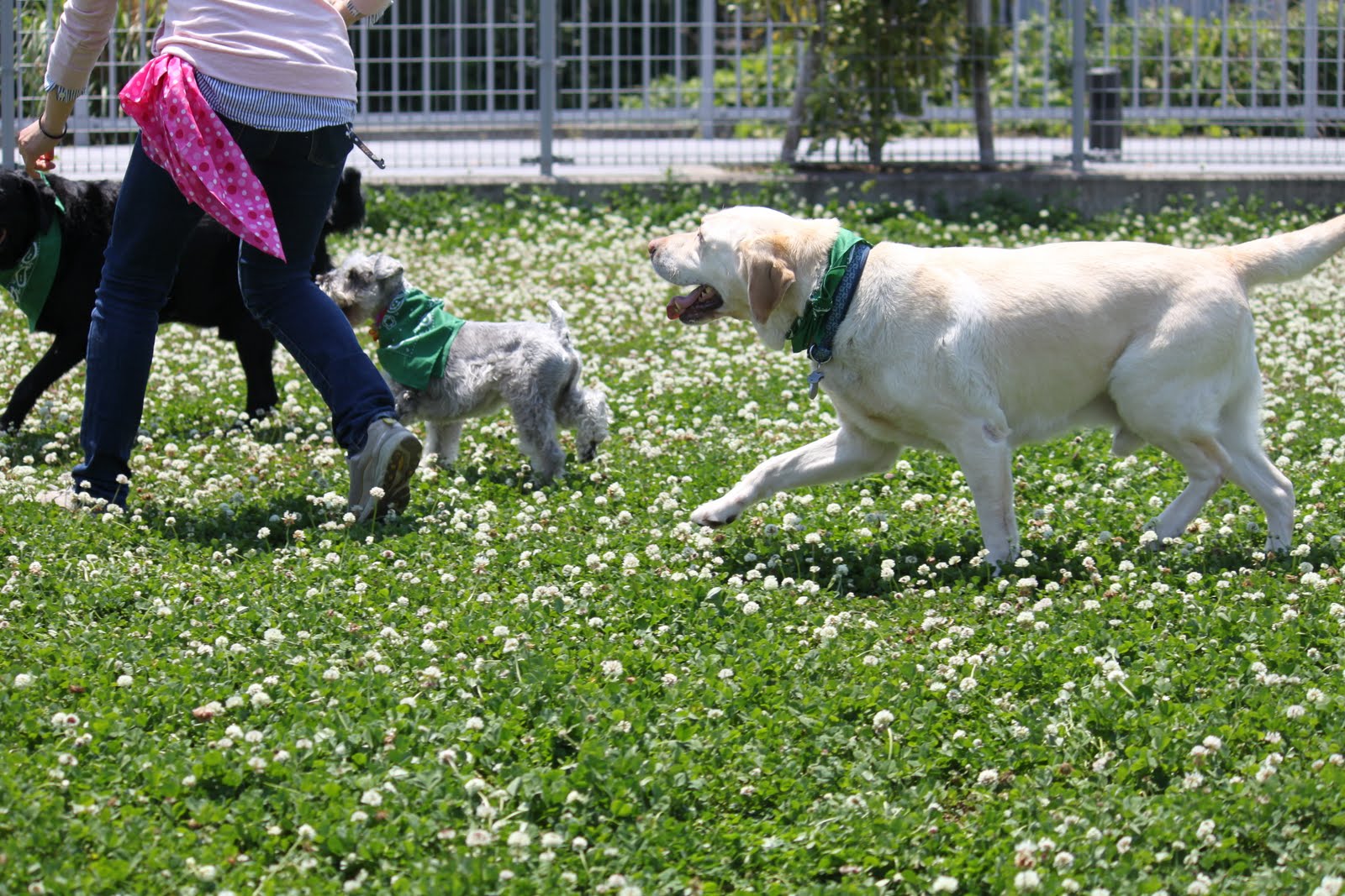c0218443_20121041.jpg