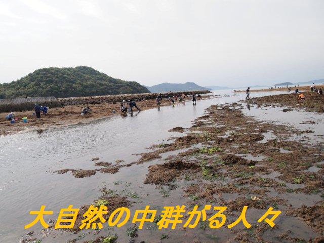 c0174644_2312034.jpg
