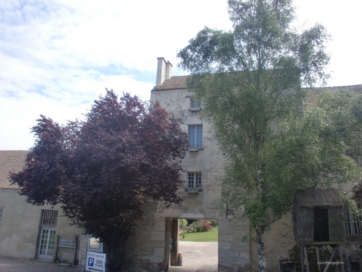 f0174549_6112145.jpg