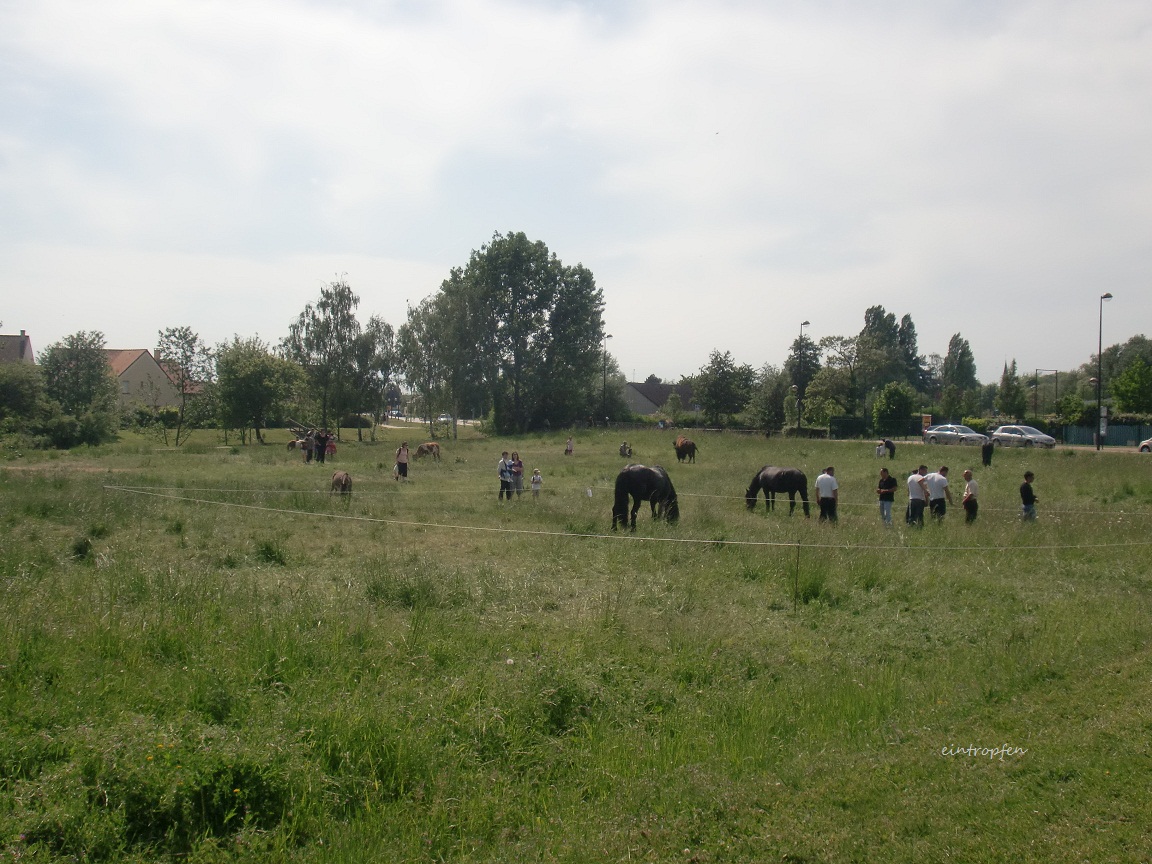 f0174549_641745.jpg