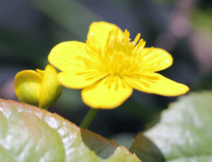 d0163550_9563680.gif