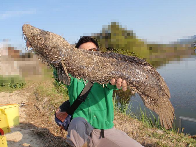 Gw雷魚旅 Honky Tonk Fishing