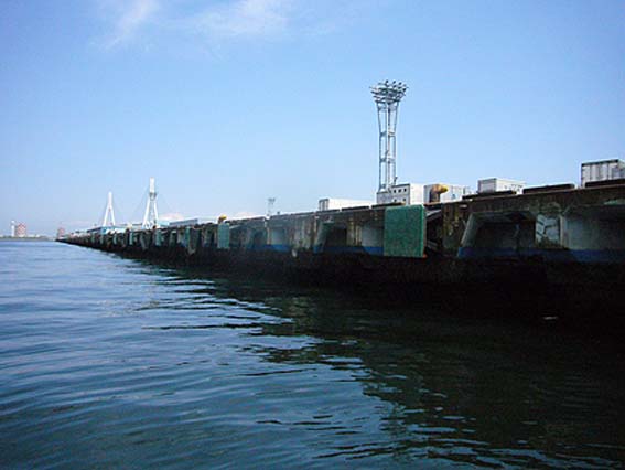 d0147156_16523665.jpg