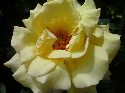 e0147757_22272359.jpg