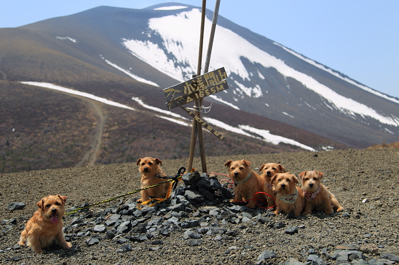 小浅間山 登攀_b0181761_1512443.jpg