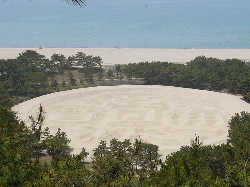 c0055363_10475331.jpg