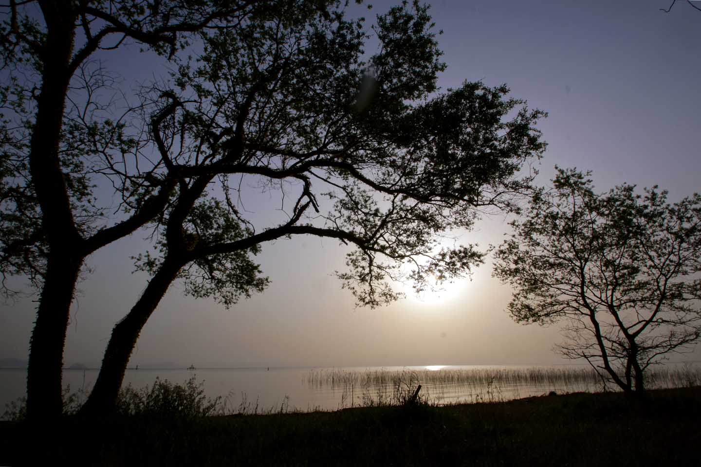 e0019563_7441350.jpg