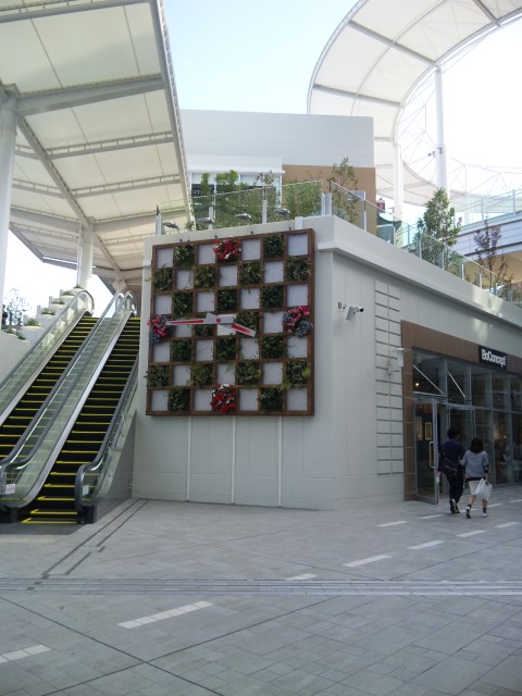 d0141165_747363.jpg