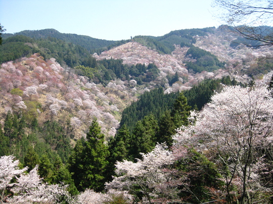 c0070968_3254136.jpg