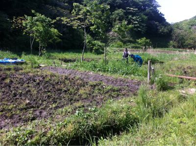 今日の田んぼ作業_c0067272_0444283.jpg