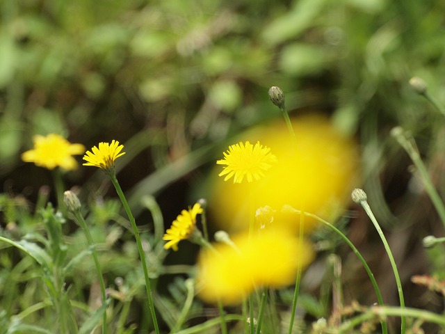 d0054276_20135040.jpg